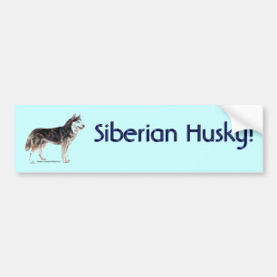 Sibirischer Husky! Autoaufkleber