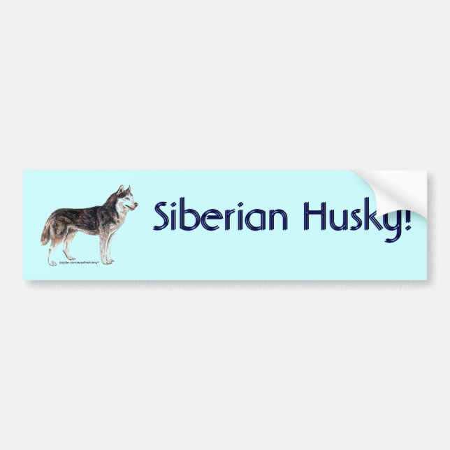 Sibirischer Husky! Autoaufkleber (Vorne)