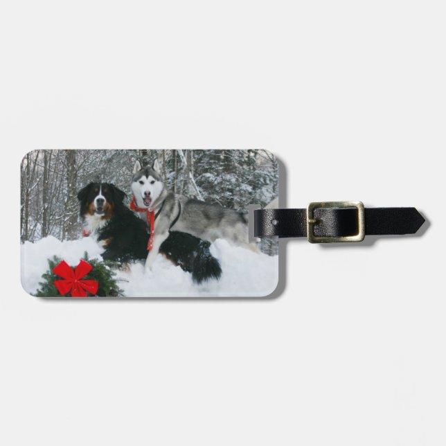 Sibirischer Husky Berneses Gepäckanhänger (Vorderseite horizontal)