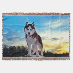 Sibirischer Husky Decke