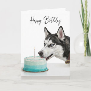 Sibirischer Husky Geburtstagstorteninspektor Karte