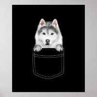 Sibirischer Husky-Hund in Pocket |Funny Dog Lover 