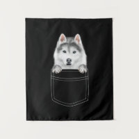 Sibirischer Husky-Hund in Pocket |Funny Dog Lover
