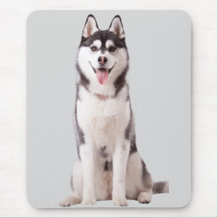 Sibirischer Husky Hund Mousepad