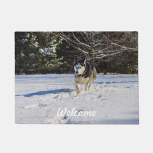 Sibirischer Husky im Schnee Fußmatte