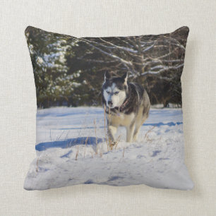 Sibirischer Husky im Schnee Kissen
