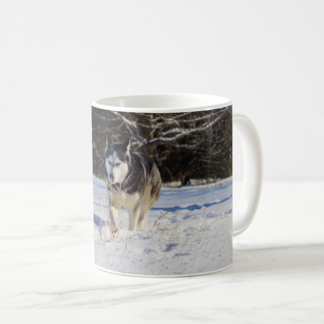 Sibirischer Husky in der Schneekaffee-Tasse Kaffeetasse (VorderseiteRechts)