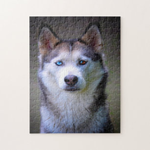 Sibirischer Husky Jigsaws. Puzzle