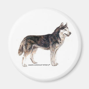 Sibirischer Husky! Magnet