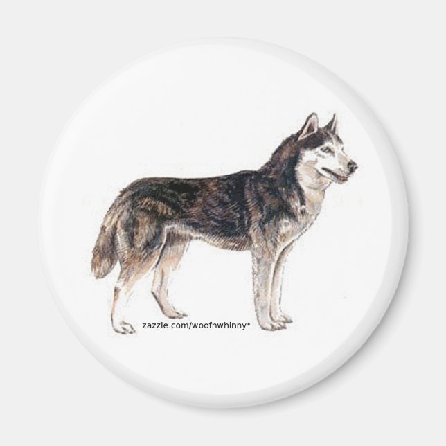 Sibirischer Husky! Magnet (Vorne)