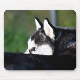 Sibirischer Husky Mousepad