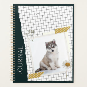 Sibirischer Husky Planer