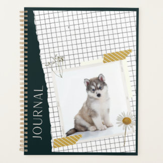 Sibirischer Husky Planer