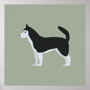 Sibirischer Husky Poster