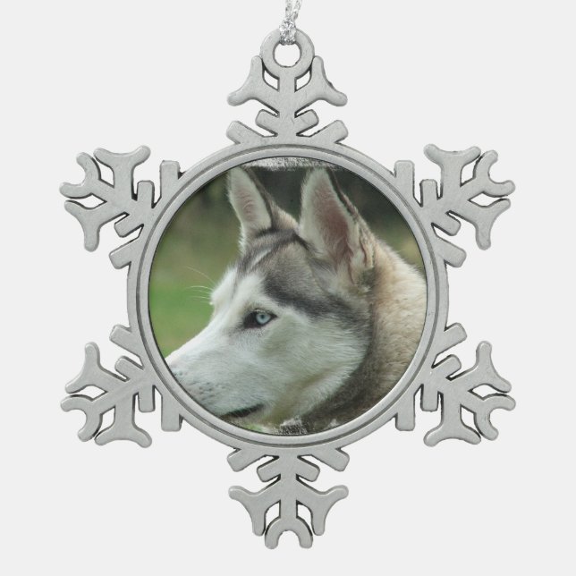 Sibirischer Husky Schneeflocken Zinn-Ornament (Vorderseite)