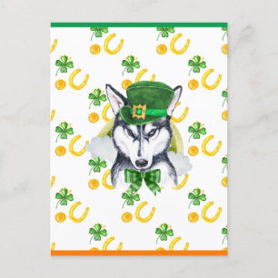Sibirischer Husky Shamrock St. Patricks Tag Feiertagspostkarte