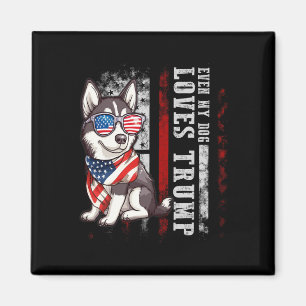 Sibirischer Husky Sogar mein Hund liebt Trump Lust Magnet