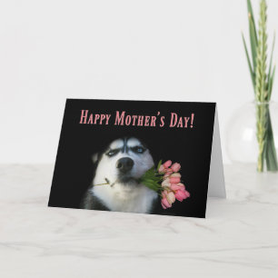 Sibirischer Husky und Tulpen Frohen Muttertag Karte