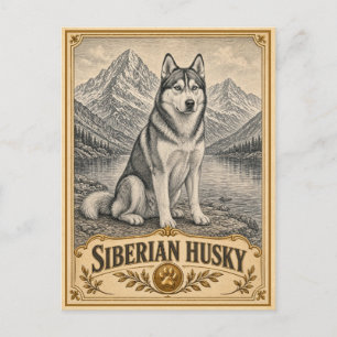 Sibirischer Husky, Vintage Heritage Hund Postkarte