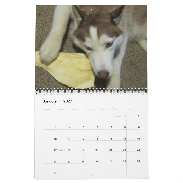 Sibirischer Husky wächst auf Kalender (Jan 2027)