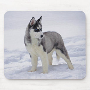 Sibirischer Husky Welpe Hund im Schnee Mauspad