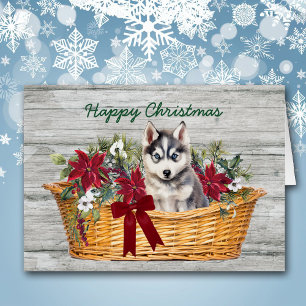 Sibirischer Husky-Welpe in Basketball Weihnachtska