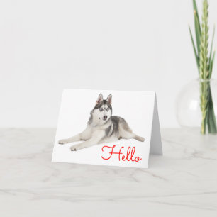 Sibirischer Husky-Welpenhund Hallo, Ich denke an D Karte