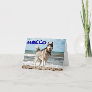 Sibirischer Husky-Welpenhund Hallo, Ich denke an D Karte