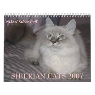 SIBIRISCHER KATZEN 2007 Kalender… Kalender