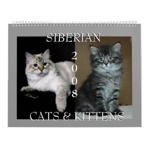 Sibirischer Katzen-Kalender 2008 Kalender
