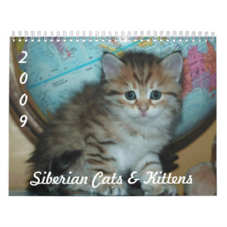 Sibirischer KATZEN Kalender 2009