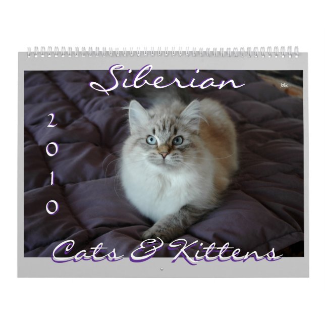 Sibirischer Katzen-u. der Kätzchen-2010 Kalender B (Titelbild)