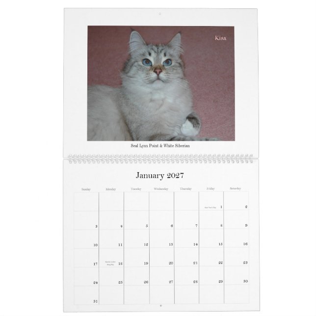 Sibirischer Katzen-und Kätzchen-Kalender Final2 Kalender (Jan 2027)