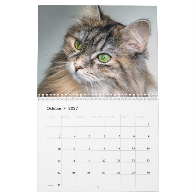Sibirischer Katzenkalender 2019 Kalender (Okt 2027)