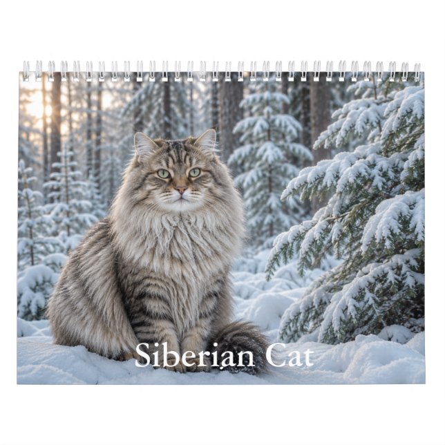 Sibirischer Katzenkalender  Kalender (Titelbild)