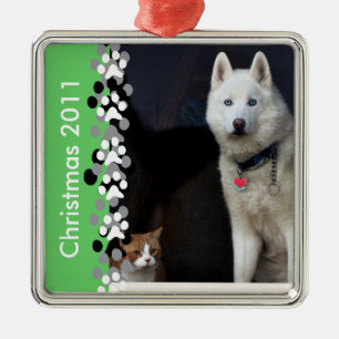 Sibirischer Schlittenhund-Foto Silbernes Ornament