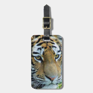 Sibirischer Tiger, Amur Tiger Gepäckmarke Gepäckanhänger