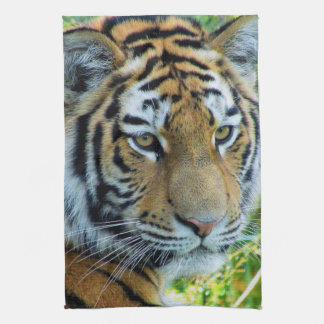 Sibirischer Tiger, Amur-Tiger-Geschirrtuch Küchentuch