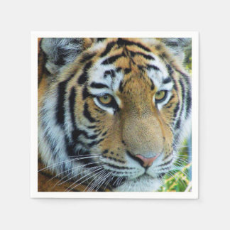 Sibirischer Tiger, Amur Tiger Paper Napkin Serviette