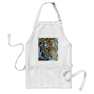 Sibirischer Tiger, Amur Tiger Schürze