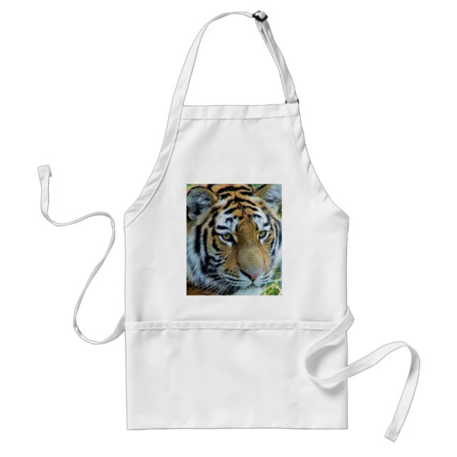 Sibirischer Tiger, Amur Tiger Schürze (Vorne)
