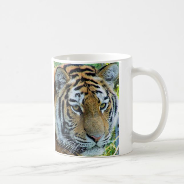 Sibirischer Tiger, Amur Tiger Tasse (Rechts)