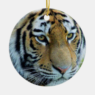 Sibirischer Tiger, Amur Tiger Zierschmuck Keramik Ornament