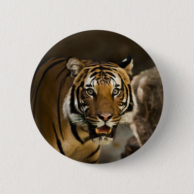 Sibirischer Tiger Button (Vorderseite)