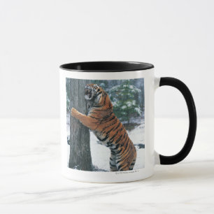 Sibirischer Tiger (der Pantheratigris altaica) Tasse