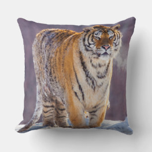 Sibirischer Tiger im Schnee, China Kissen