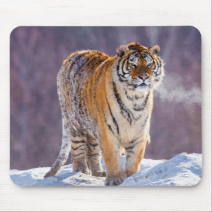 Sibirischer Tiger im Schnee, China Mousepad