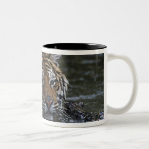Sibirischer Tiger im Wasser Zweifarbige Tasse