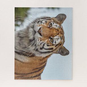 Sibirischer Tiger im Wilden Puzzle