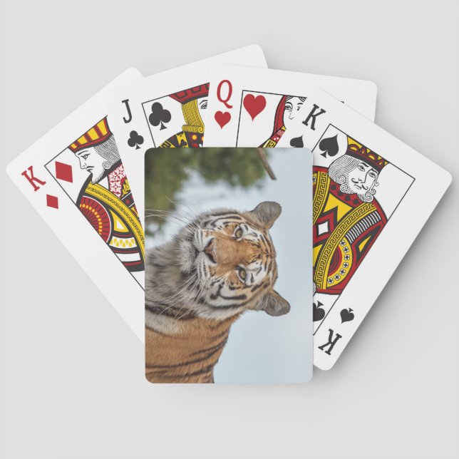 Sibirischer Tiger im Wilden Spielkarten (Rückseite)